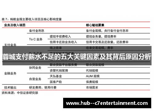 蓉城支付薪水不足的五大关键因素及其背后原因分析 蓉城支付薪水不足的五大关键因素及其背后原因分析