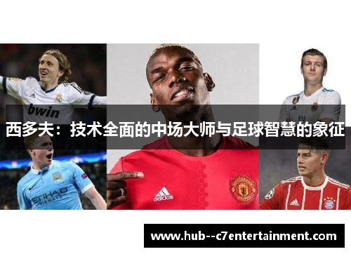 西多夫：技术全面的中场大师与足球智慧的象征