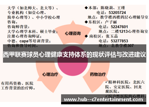 西甲联赛球员心理健康支持体系的现状评估与改进建议