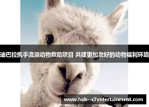 迪巴拉携手流浪动物救助项目 共建更加友好的动物福利环境