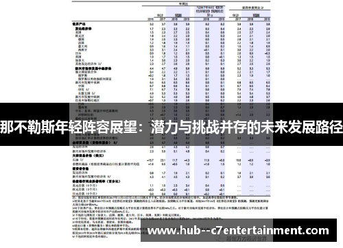 那不勒斯年轻阵容展望：潜力与挑战并存的未来发展路径