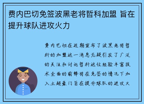 费内巴切免签波黑老将哲科加盟 旨在提升球队进攻火力 费内巴切免签波黑老将哲科加盟 旨在提升球队进攻火力